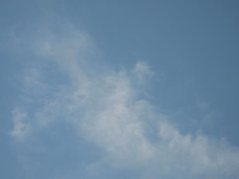 Sommer 040.jpg   5kb   26.03.2021 22:31:24